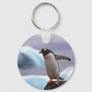 Gentoo Penguin Sleutelhanger