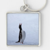 Gentoo penguin sleutelhanger (Voorkant)