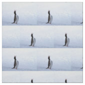 Gentoo penguin stof (Swatch)
