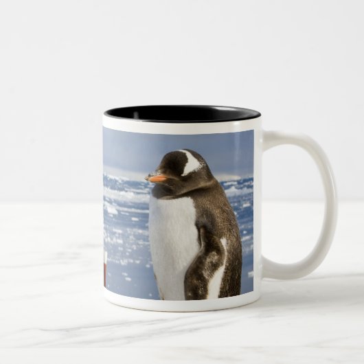 Gentoo Penguin Tweekleurige Koffiemok (Rechts)
