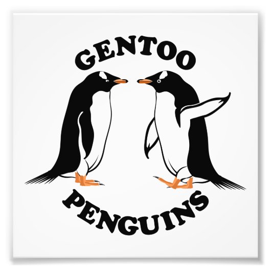 Gentoo Penguins Foto Afdruk (Voorkant)