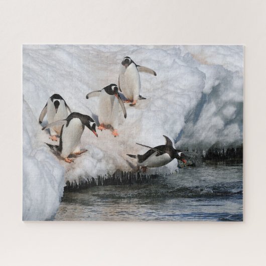 Gentoo Penguins pompen in water op Antarctica Legpuzzel (Horizontaal)