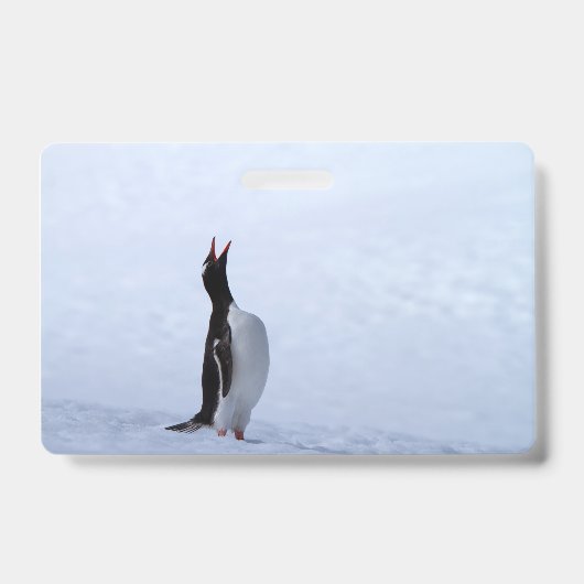 Gentoo-pinguïn Badge (Voorzijde)