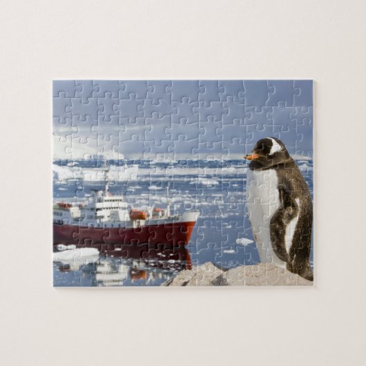 Gentoo-pinguïn Legpuzzel (Horizontaal)