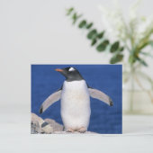 Gentoo-pinguïn Pygoscelis papua) haven Briefkaart (Staand voorkant)