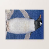 Gentoo-pinguïn Pygoscelis papua) haven Legpuzzel (Horizontaal)