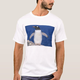 Gentoo-pinguïn Pygoscelis papua) haven T-shirt