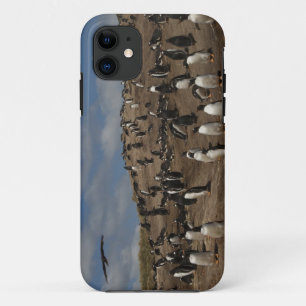 Gentoo-pinguïn (Pygoscelis papua) kolonie op West Case-Mate iPhone Case