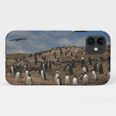 Gentoo-pinguïn (Pygoscelis papua) kolonie op West Case-Mate iPhone Case (Achterkant (horizontaal))