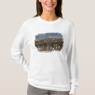 Gentoo-pinguïn (Pygoscelis papua) kolonie op West T-shirt