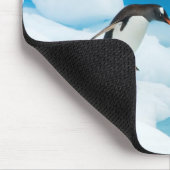 Gentoo-pinguïn, Pygoscelis Papua, springt eraf Muismat (Hoek)