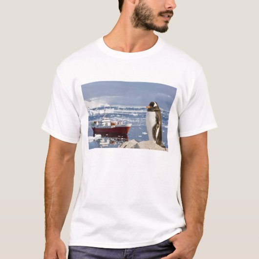 Gentoo-pinguïn T-shirt (Voorkant)