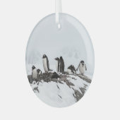 Gentoo pinguïns, Antarctica, Vernadsky Station. Glas Ornament (Voorkant links)