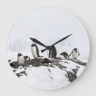 Gentoo pinguïns, Antarctica, Vernadsky Station. Grote Klok