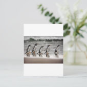 Gentoos op het strand briefkaart (Staand voorkant)