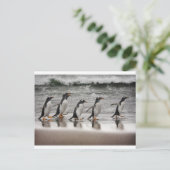 Gentoos op het strand briefkaart (Staand voorkant)