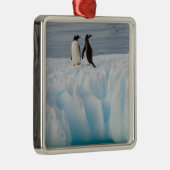 gentopenguin, Pygoscelis Papua, op ijsazijn Metalen Ornament (Rechts)