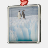 gentopenguin, Pygoscelis Papua, op ijsazijn Metalen Ornament (Links)