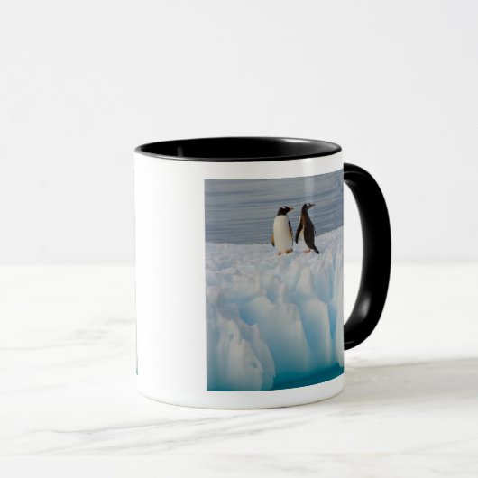 gentopenguin, Pygoscelis Papua, op ijsazijn Mok (Voorkant rechts)