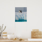 gentopenguin, Pygoscelis Papua, op ijsazijn Poster (Keuken)