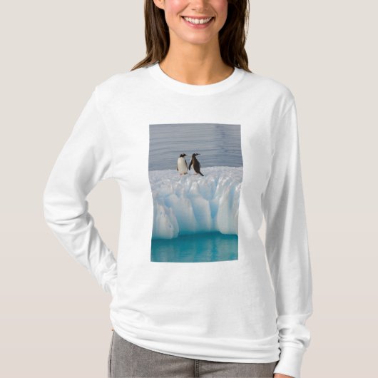 gentopenguin, Pygoscelis Papua, op ijsazijn T-shirt (Voorkant)