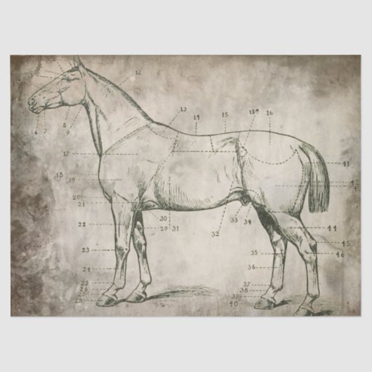 Genummerde paarden tissuepapier (Voorkant)