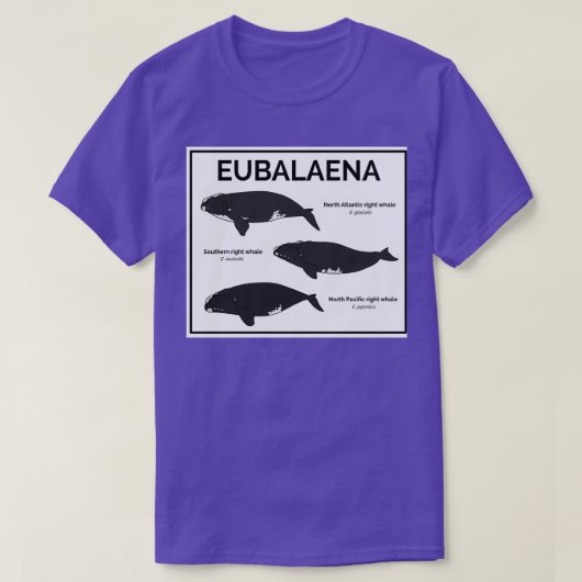 Genus Eubalaena Recht walvissen T-shirt (Design voorkant)
