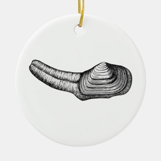 Geoduck Clam (afbeelding zwart-wit) Keramisch Ornament (Voorkant)