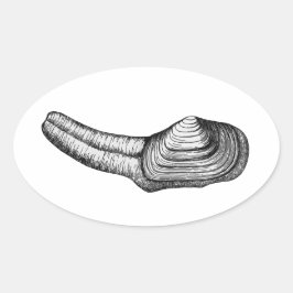 Geoduck Clam (afbeelding zwart-wit) Ovale Sticker