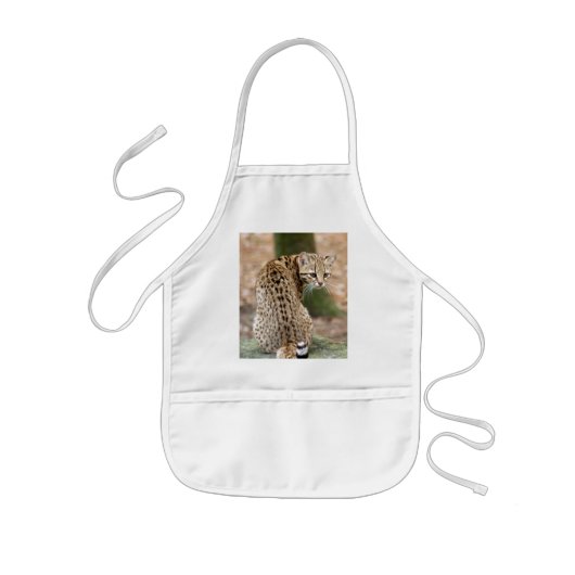 geoffroy-cat-004 kinder schort (Voorkant)