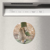 Geoffroy-CAT-004 Magneet (Insitu (Vaatwasser))