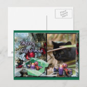 Geoffroy Cat Christmas Briefkaart (Voorkant / Achterkant)