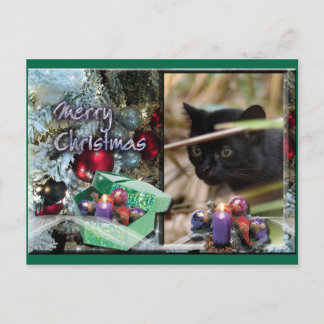 Geoffroy Cat Christmas Briefkaart