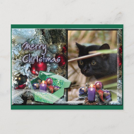 Geoffroy Cat Christmas Briefkaart (Voorkant)