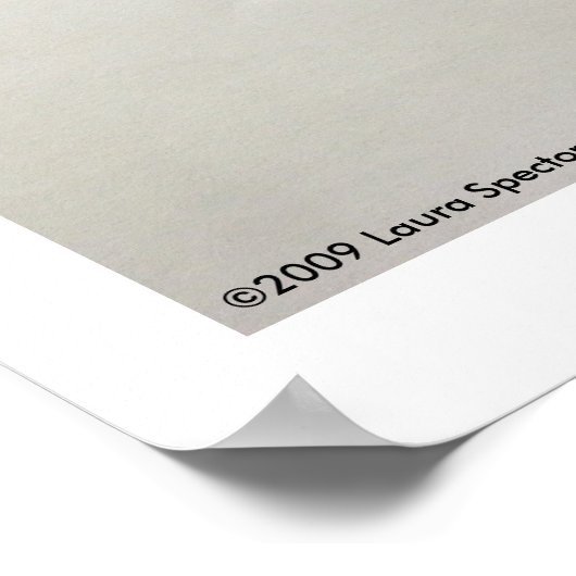 Geografie van het Poster van het Hongaarse gastalb (Hoek)