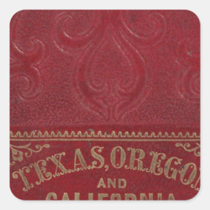 Geografisch uitzicht van Texas Vierkante Sticker