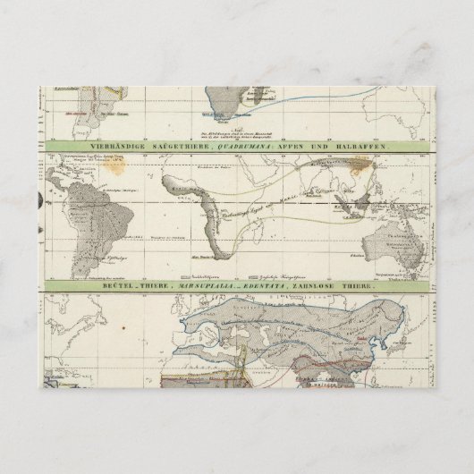 Geografische verdeling briefkaart (Voorkant)