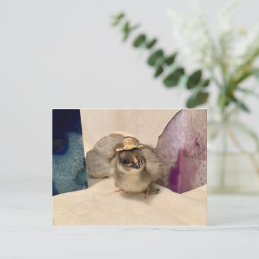 Geoguy Briefkaart (Staand voorkant)