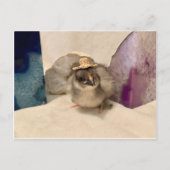 Geoguy Briefkaart (Voorkant)