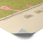 Geological Map of the Washoe District Poster (Hoek)