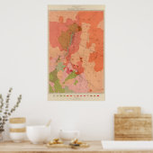 Geological Map of the Washoe District Poster (Keuken)