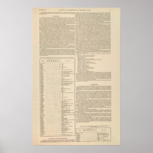 Geologie en paleontologie van de Britse eilanden Poster (Voorkant)