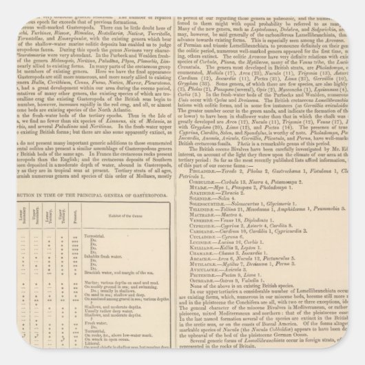 Geologie en paleontologie van de Britse eilanden Vierkante Sticker (Voorkant)