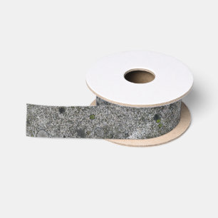 Geologie Gray Granite Rock met Moss Satijnen Lint