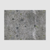 Geologie Gray Granite Rock met Moss Tissuepapier (Voorkant)