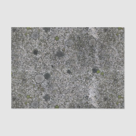 Geologie Gray Granite Rock met Moss Tissuepapier (Voorkant)