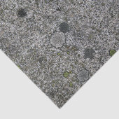 Geologie Gray Granite Rock met Moss Tissuepapier (Detail)