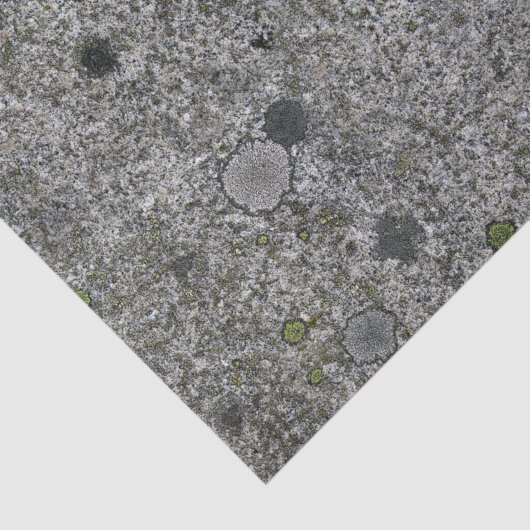 Geologie Gray Granite Rock met Moss Tissuepapier (Detail)