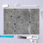 Geologie Gray Granite Rock met Moss Tissuepapier (Craft)