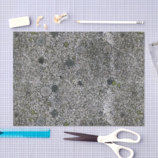 Geologie Gray Granite Rock met Moss Tissuepapier (Craft)
